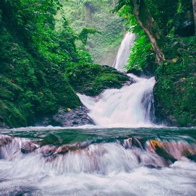 烈火重生手游下载