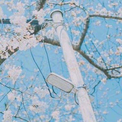 玛丽消消乐游戏(暂未上线)v1.1 安卓最新版本