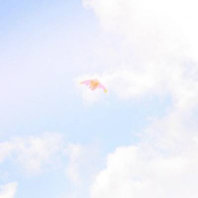 偷星九月天游戏破解下载